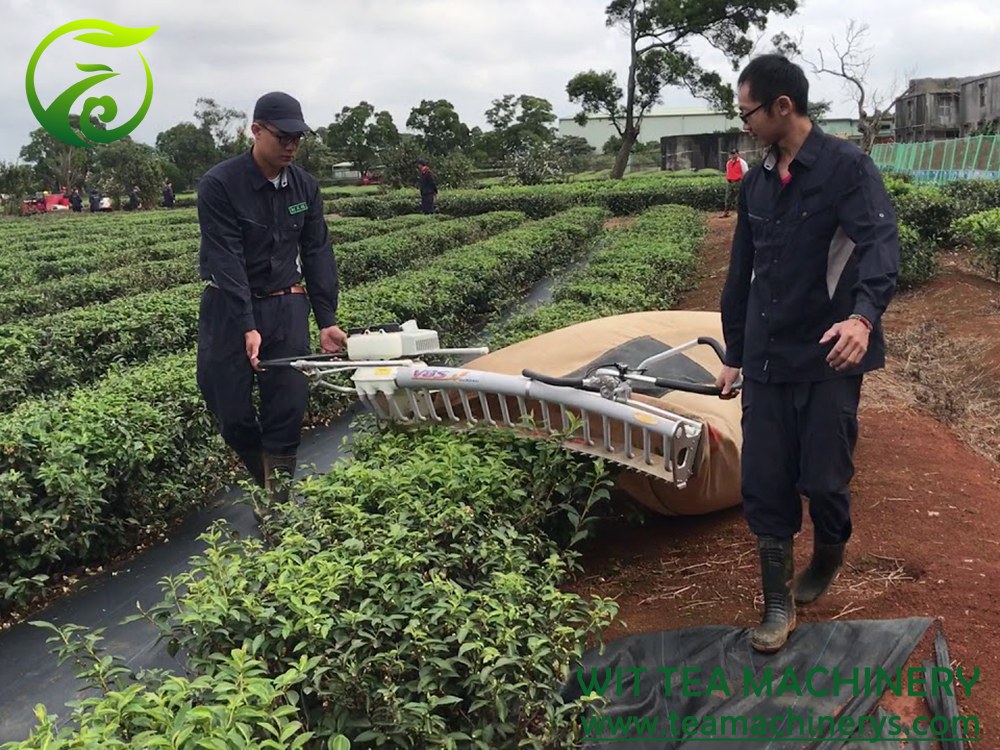 ZC-4CH-1210 two men use tea picking machine use G4K engine, cutting width 1000mm 1140mm and 1210mm, best price and high efficiency.