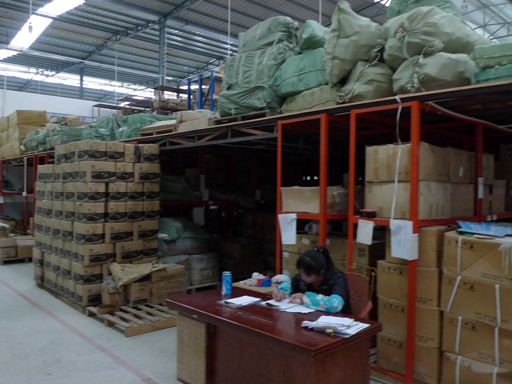 Wit Tea Processing Machinerys Green Tea Processing Machine Factory (7)